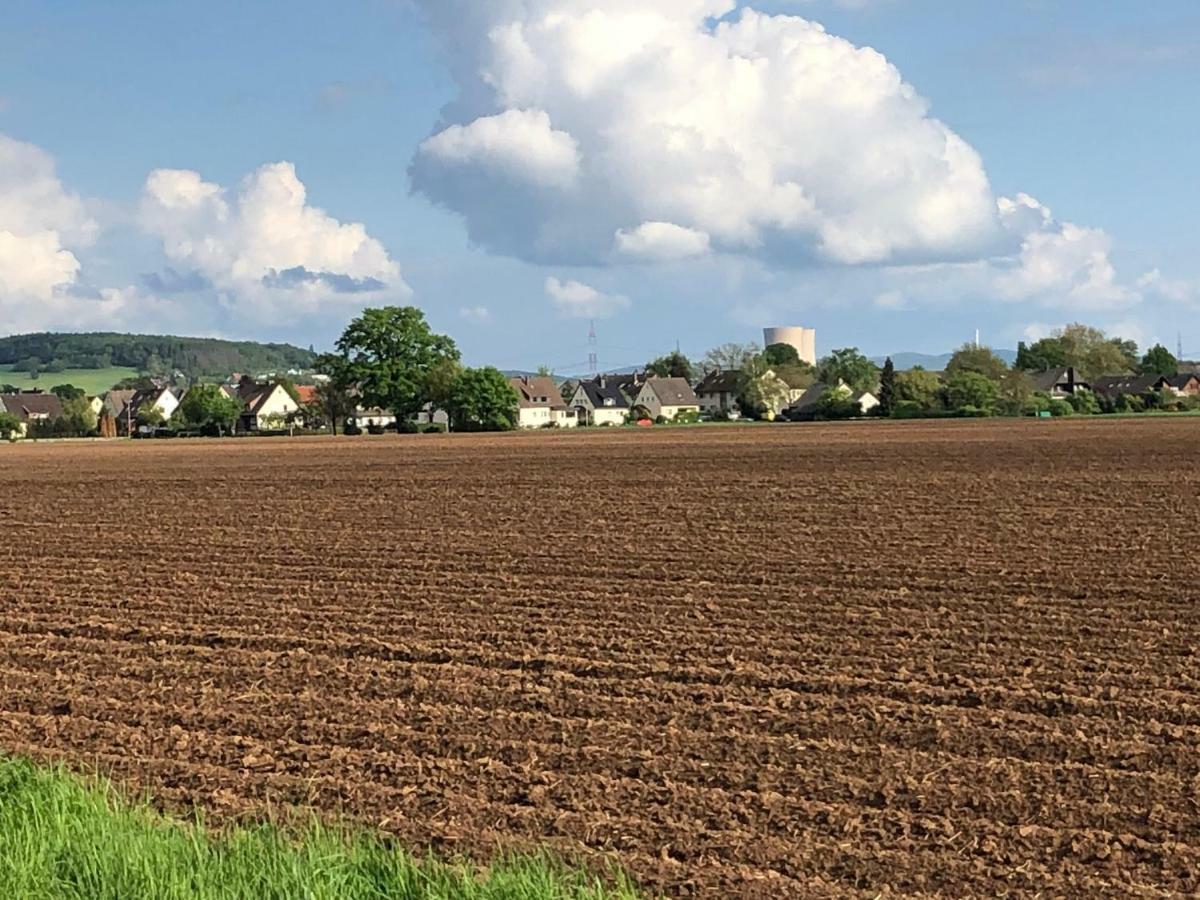 Ferienwohnung Hameln Direkt Am Weserradweg هاملن المظهر الخارجي الصورة